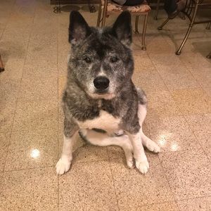 Meet your Posher, Alice